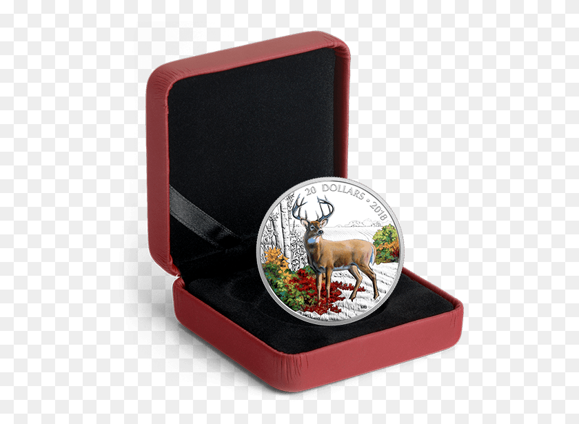507x555 Wandering White Tailed Deer Canadian Silver Coin 2017 Year Of The Rooster, Wildlife, Mammal, Animal HD PNG Download