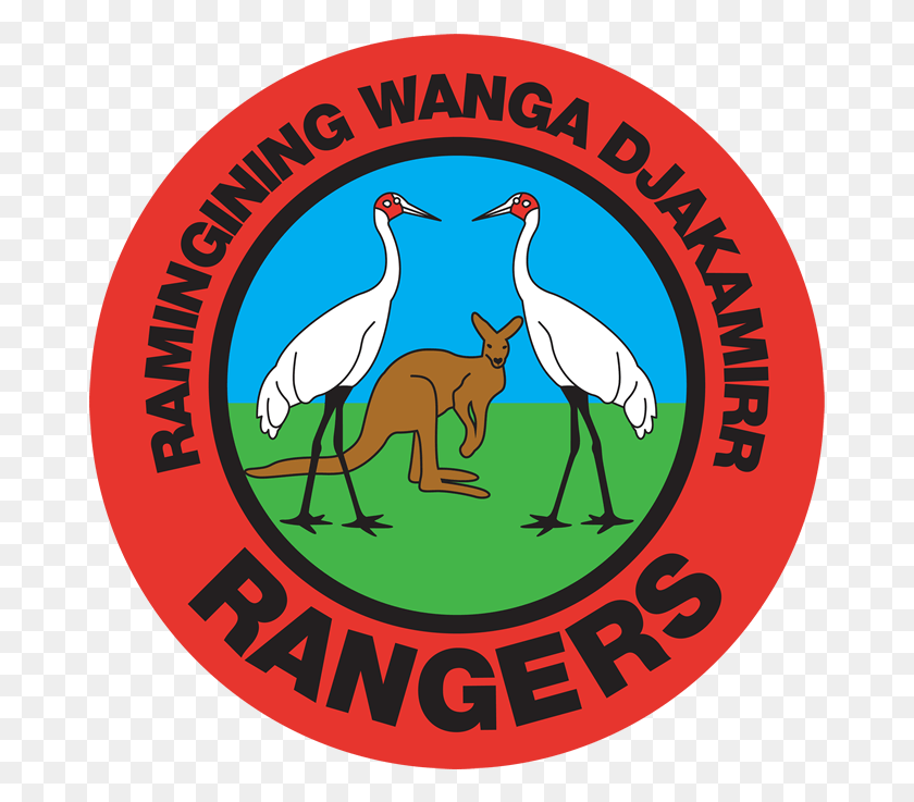 677x677 Wanga Djakamirr Rangers Chaminade College Preparatory School Logo, Bird, Animal, Label HD PNG Download