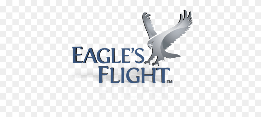1599x649 Want To Become An Eagle39s Flight Global Licensee Seabird, Vulture, Bird, Animal HD PNG Download