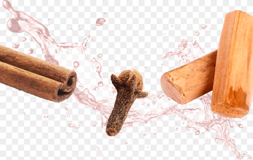 1534x970 Warm Cinnamon Zoflora Concentrated Disinfectant Kills, Person Sticker PNG