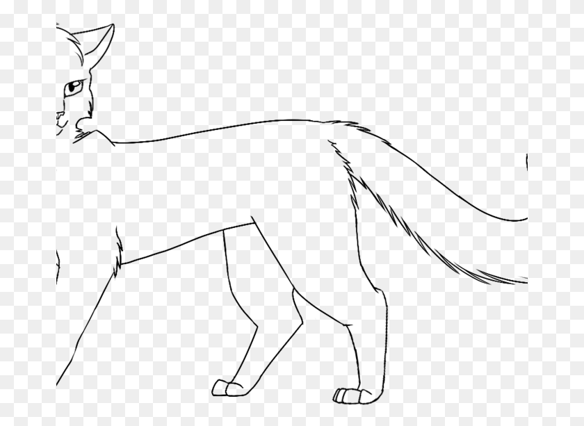 679x553 Warrior Cats Cool Warrior Cat Drawings Easy, Gray, World Of Warcraft HD PNG Download