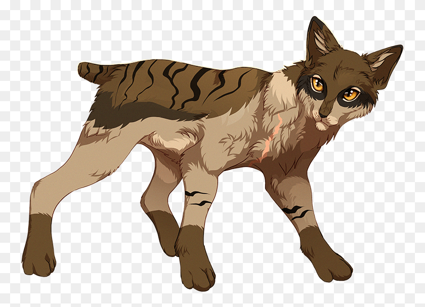 757x547 Warrior Cats With Short Tails Warrior Cats Halftail, Animal, Mammal, Coyote HD PNG Download