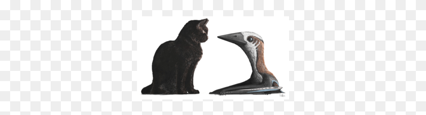 301x167 Was This Flying Critter The Ptiniest Pterosaur Of The Small Pterosaur, Animal, Black Cat, Cat HD PNG Download