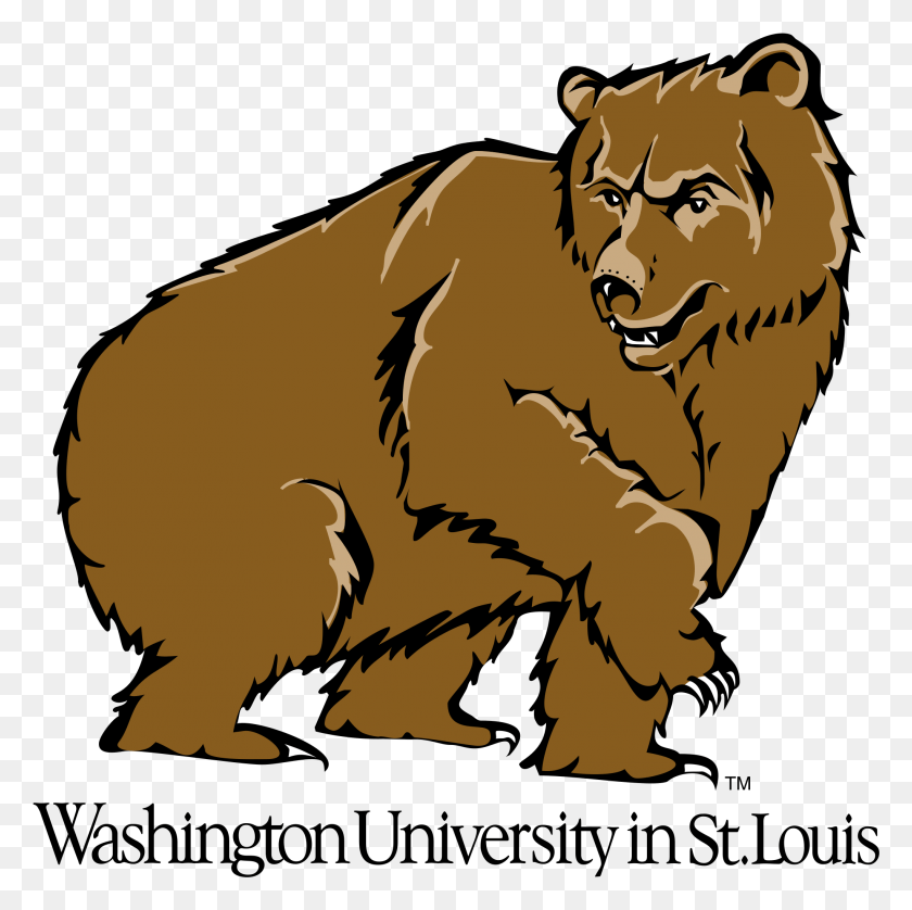 2045x2041 Washington Bears Logo Transparente Mallinckrodt Institute Of Radiology, La Vida Silvestre, Animal, Mamífero Hd Png