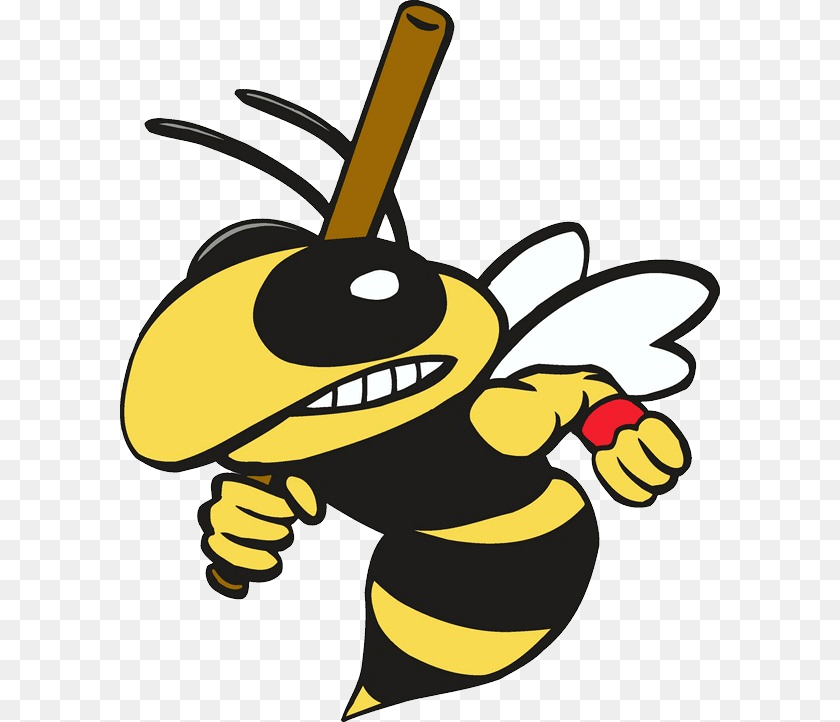 600x722 Wasp, Animal, Bee, Insect, Invertebrate Transparent PNG