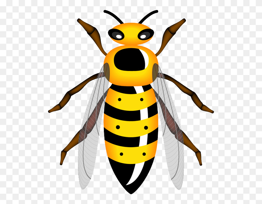 535x593 Wasp Wasp Clipart, Bee, Insect, Invertebrate HD PNG Download