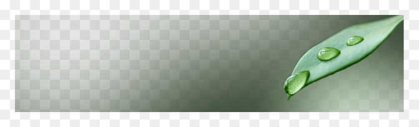 1200x300 Water, Green, Texture, Gray HD PNG Download