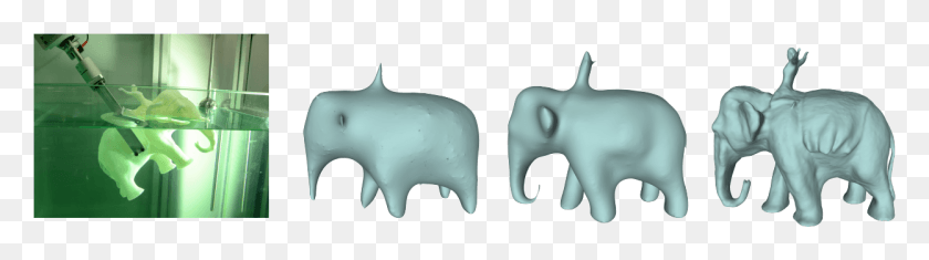 1248x281 Water 3d Scanning Technique, Mammal, Animal, Wildlife HD PNG Download