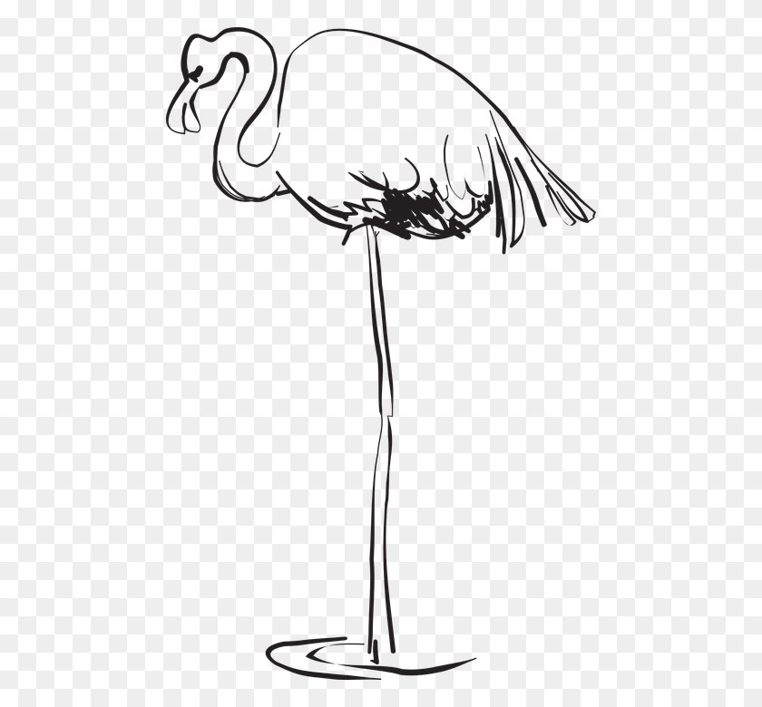 474x720 Water Bird Flamingo Standing Feathers Clip Art, Animal, Waterfowl, Turkey Bird HD PNG Download