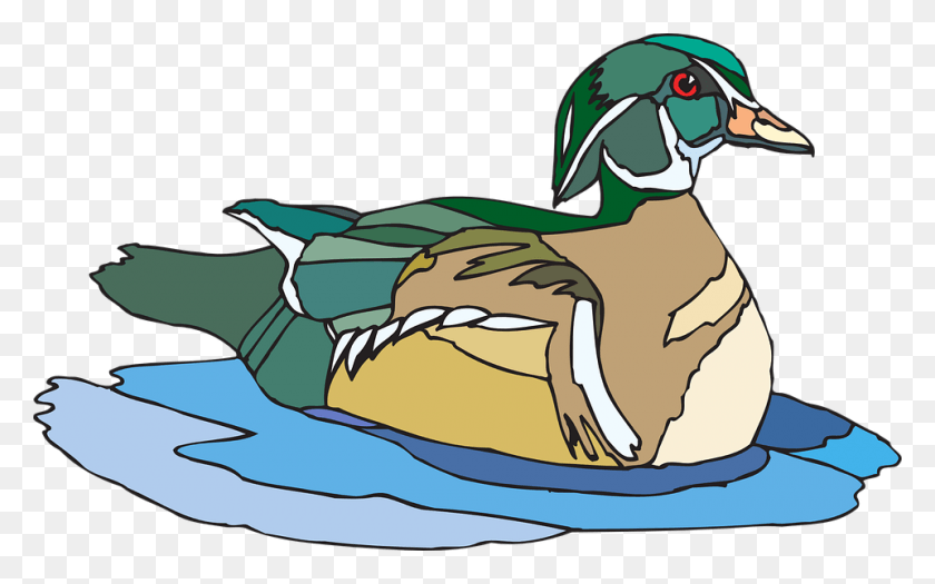 960x573 Water Bird Vector Graphics Duck Clipart On Water, Animal, Dodo, Waterfowl HD PNG Download