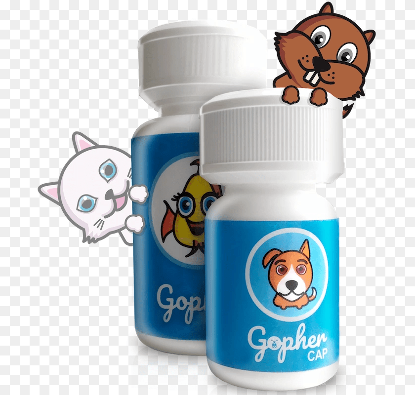 Water Bottle Transparent PNG
