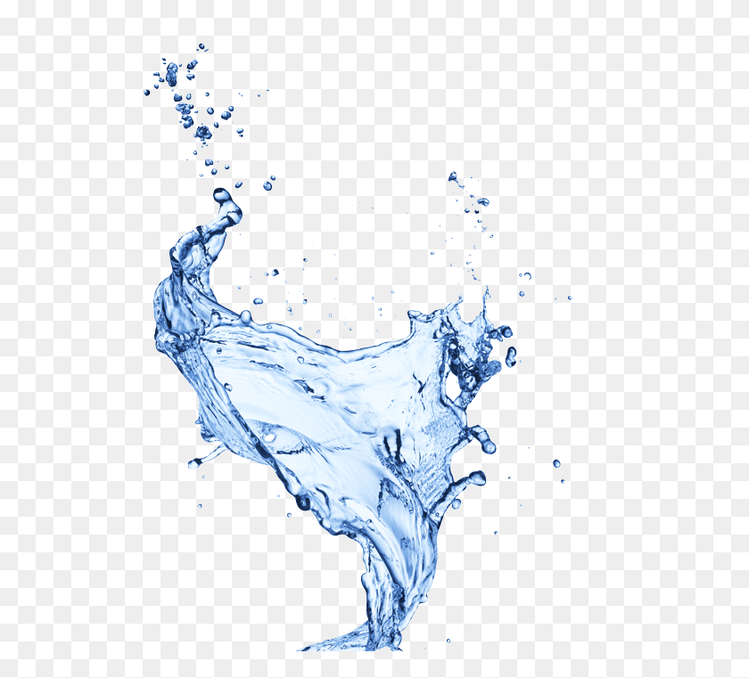 520x701 Капли Воды Изображение Изображения Прозрачная Вода, Капля, Курица, Птица Hd Png Скачать