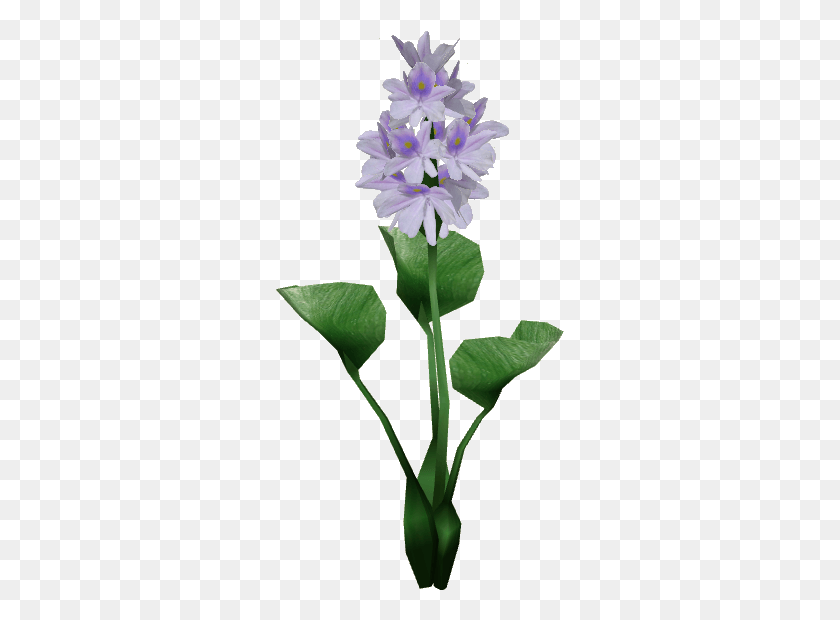 289x560 Water Hyacinth, Plant, Flower, Blossom HD PNG Download