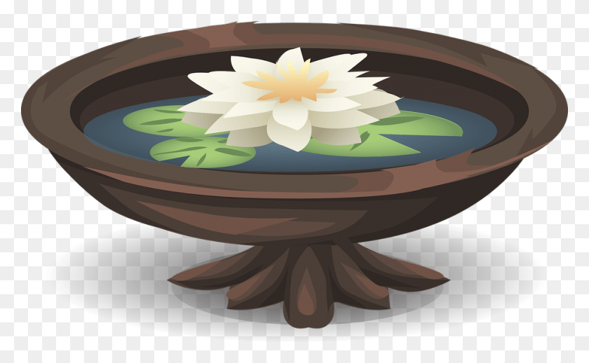 960x564 Water Lily Lily Pond Bath Pool Garden Lotus Water Lily In A Pool Vector, Coffee Table, Table, Furniture HD PNG Download