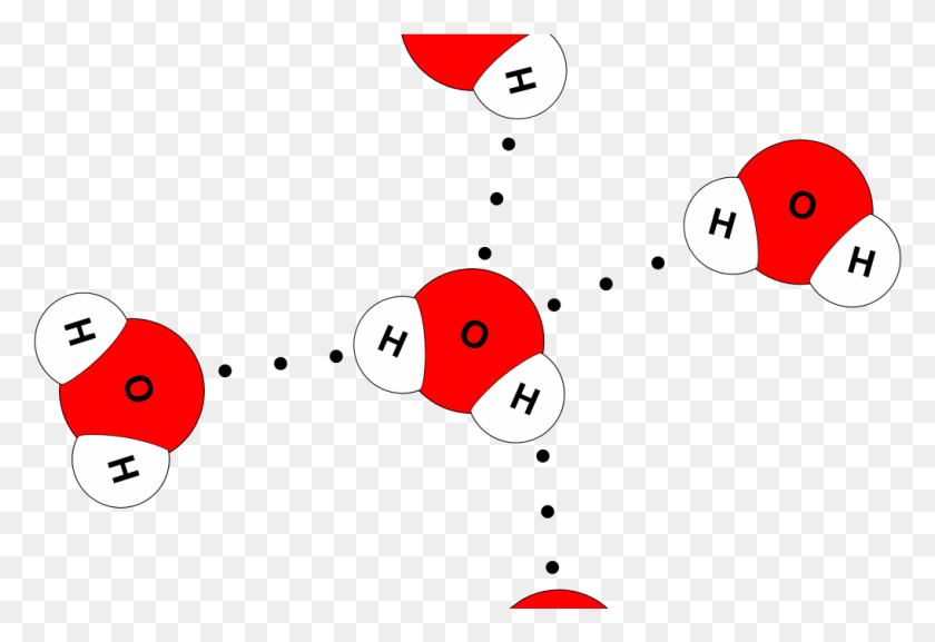1018x676 Water Molecule 4 Hydrogen Bonds Water Molecules Model, Pac Man, Text, Super Mario HD PNG Download