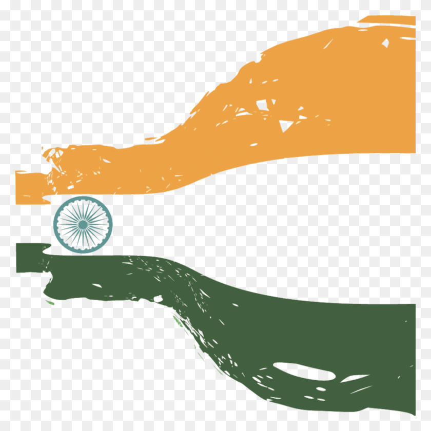 800x800 Water Of Flag Angle India File Indian Flag On Back Ground, Plant, Food, Animal HD PNG Download