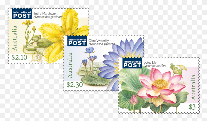 951x526 Water Plants Set Of Stamps Plants, Postage Stamp, Plant, Flower HD PNG Download