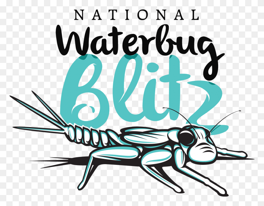 1420x1085 Waterbug Blitz Logo, Label, Text, Animal HD PNG Download