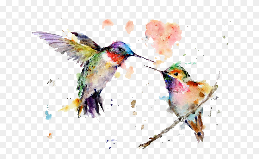 676x455 Watercolor Art Painting Drawing Hummingbird Free Transparent 2 Hummingbird, Bird, Animal, Bee Eater HD PNG Download