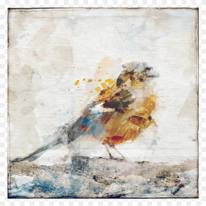 1035x1035 Watercolor Bird 1 Picture Frame, Animal HD PNG Download