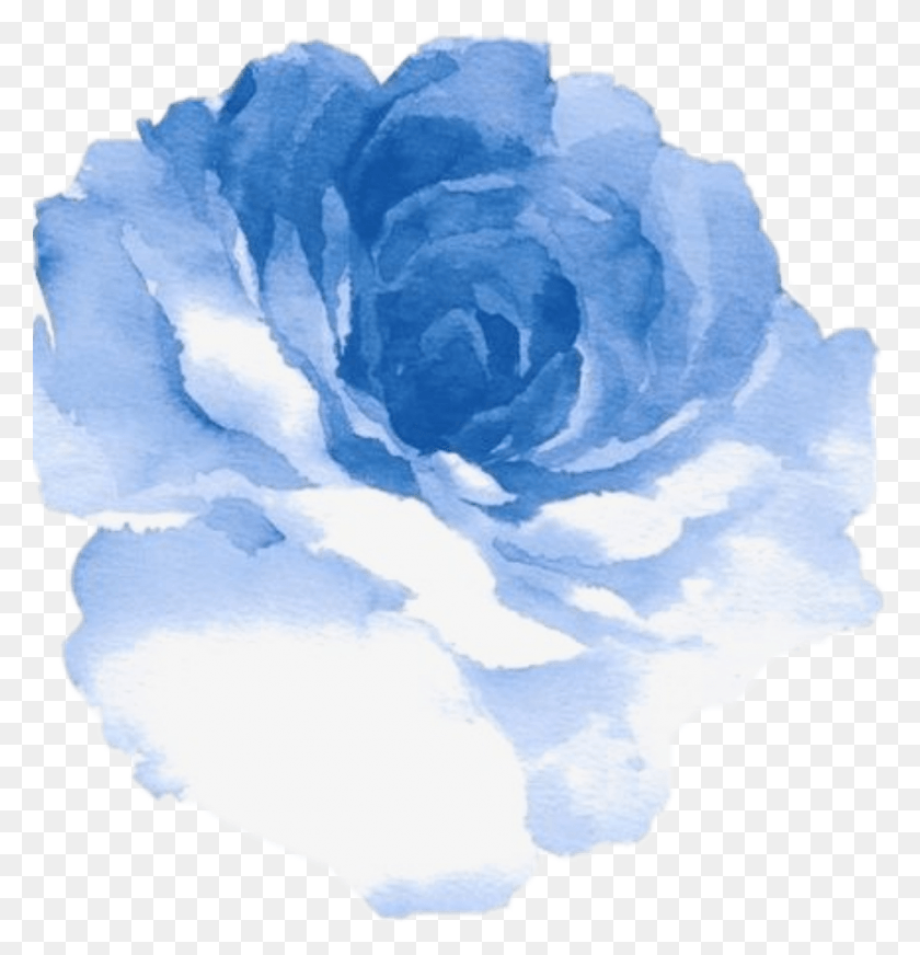 939x978 Flores De Color Azul Png