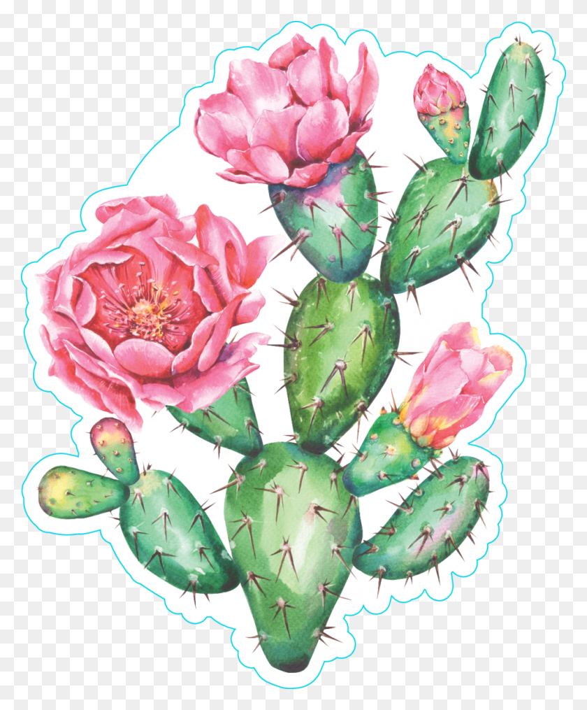 980x1200 Watercolor Cactus With Beautiful Pink Flowers Sticker Watercolor Cactus Pink Flowers, Plant, Rose, Flower HD PNG Download