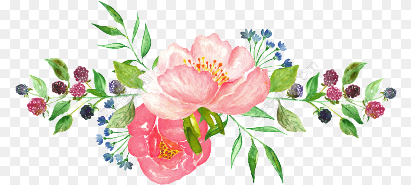 781x378 Watercolor Clipart Watercolor Flowers, Flower, Pattern, Plant, Art Transparent PNG