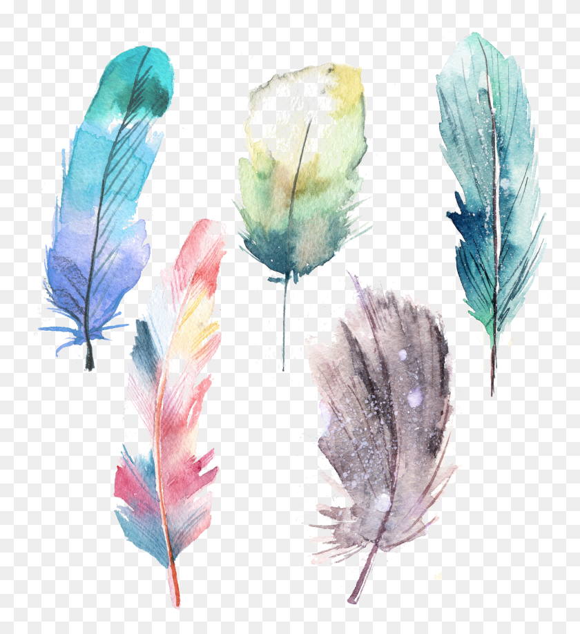 4271x4703 Watercolor Feathers HD PNG Download