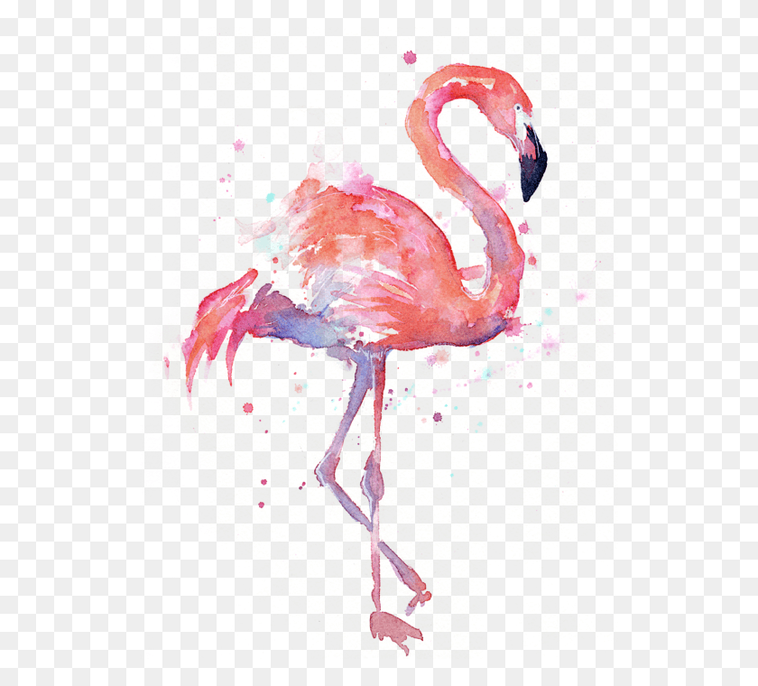 530x700 Flamingo Acuarela, Pájaro, Animal Hd Png