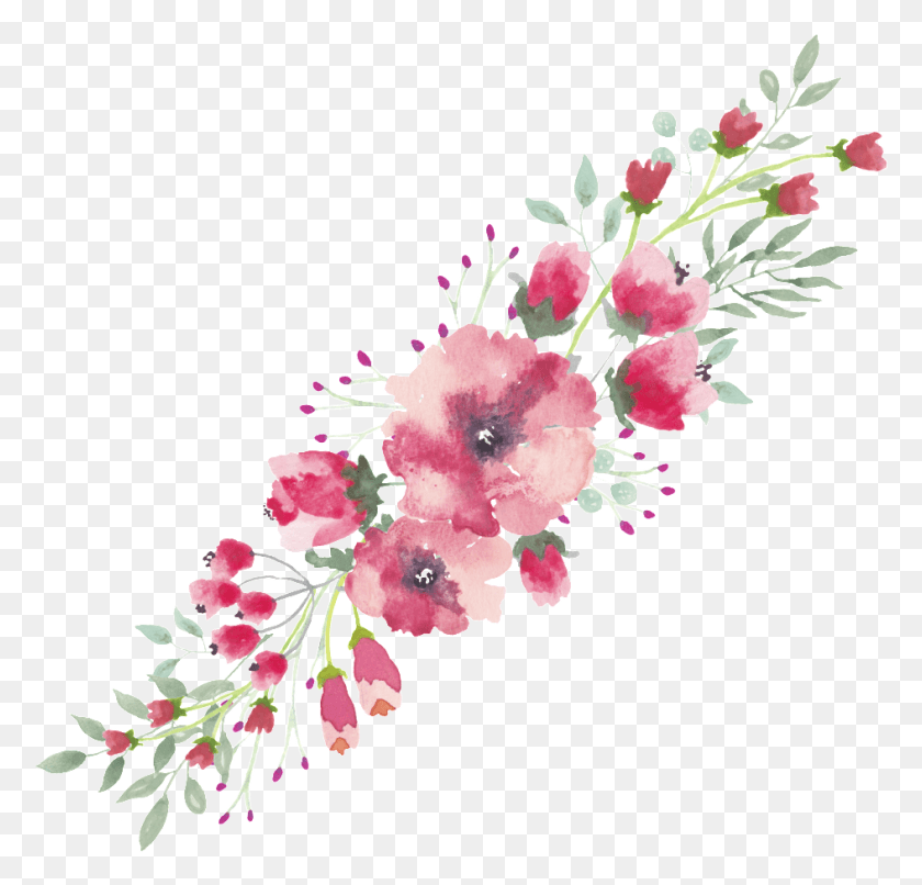 944x904 Watercolor Flower Lace Border Free Watercolor Floral Border Transparent Background, Plant, Blossom, Carnation HD PNG Download