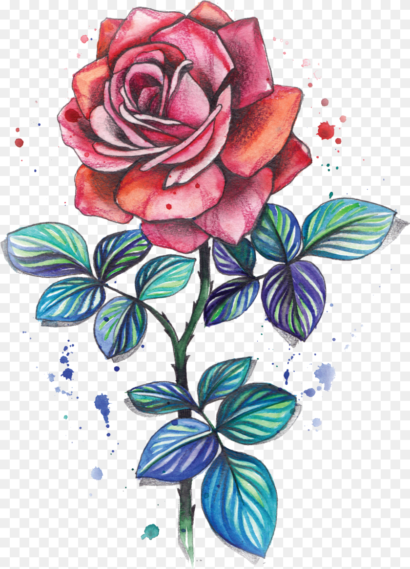 Watercolor Flower Tattoo, Plant, Rose, Art, Graphics PNG