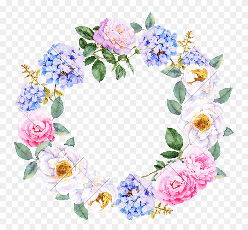 751x719 Watercolor Flower Wreath For Free On Watercolor Flower Wreath Blue, Plant, Blossom, Rose HD PNG Download
