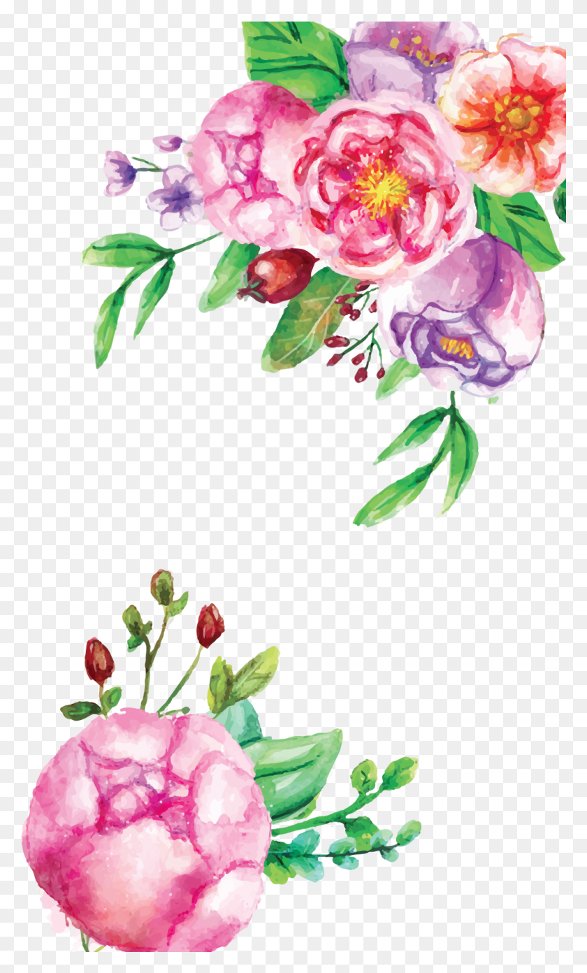 1017x1737 Watercolor Flowers Clipart 46962 Free Icons And, Plant, Flower, Blossom HD PNG Download