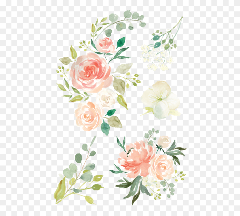 469x697 Watercolor Flowers Hand Drawn Flowers, Plant, Flower, Blossom HD PNG Download