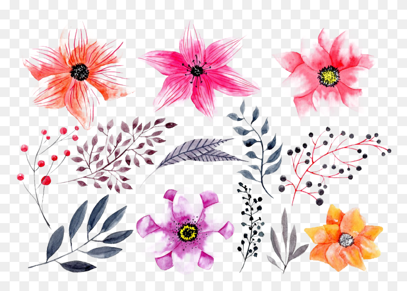 1095x759 Watercolor Flowers Photo, Plant, Dahlia, Flower HD PNG Download