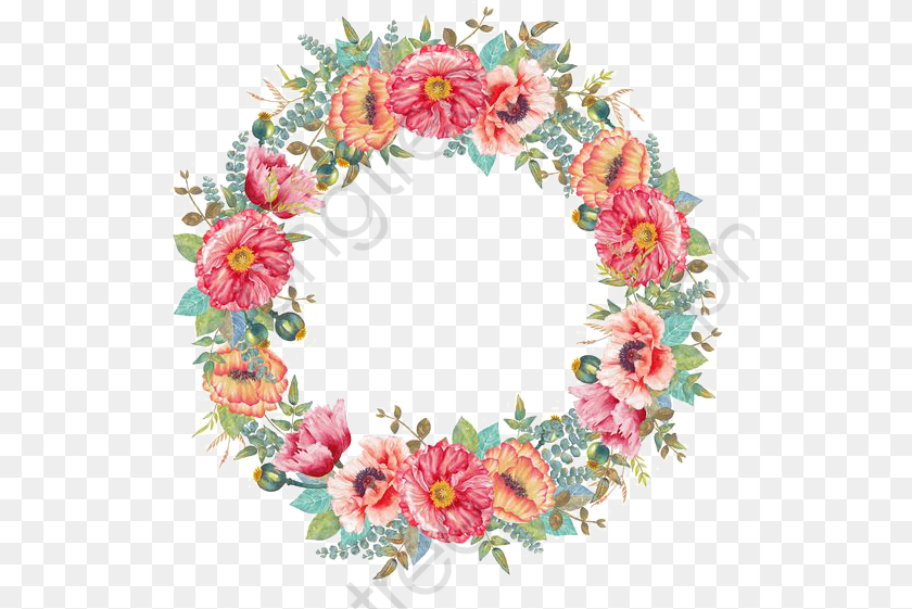 549x561 Watercolor Flowers Round Borders Of Creative Border Flower Wreath Transparent, Art, Floral Design, Graphics, Pattern PNG