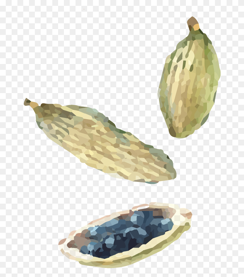 680x892 Watercolor Indian Cuisine Seeds Seed Watercolor, Plant, Food, Vegetable HD PNG Download