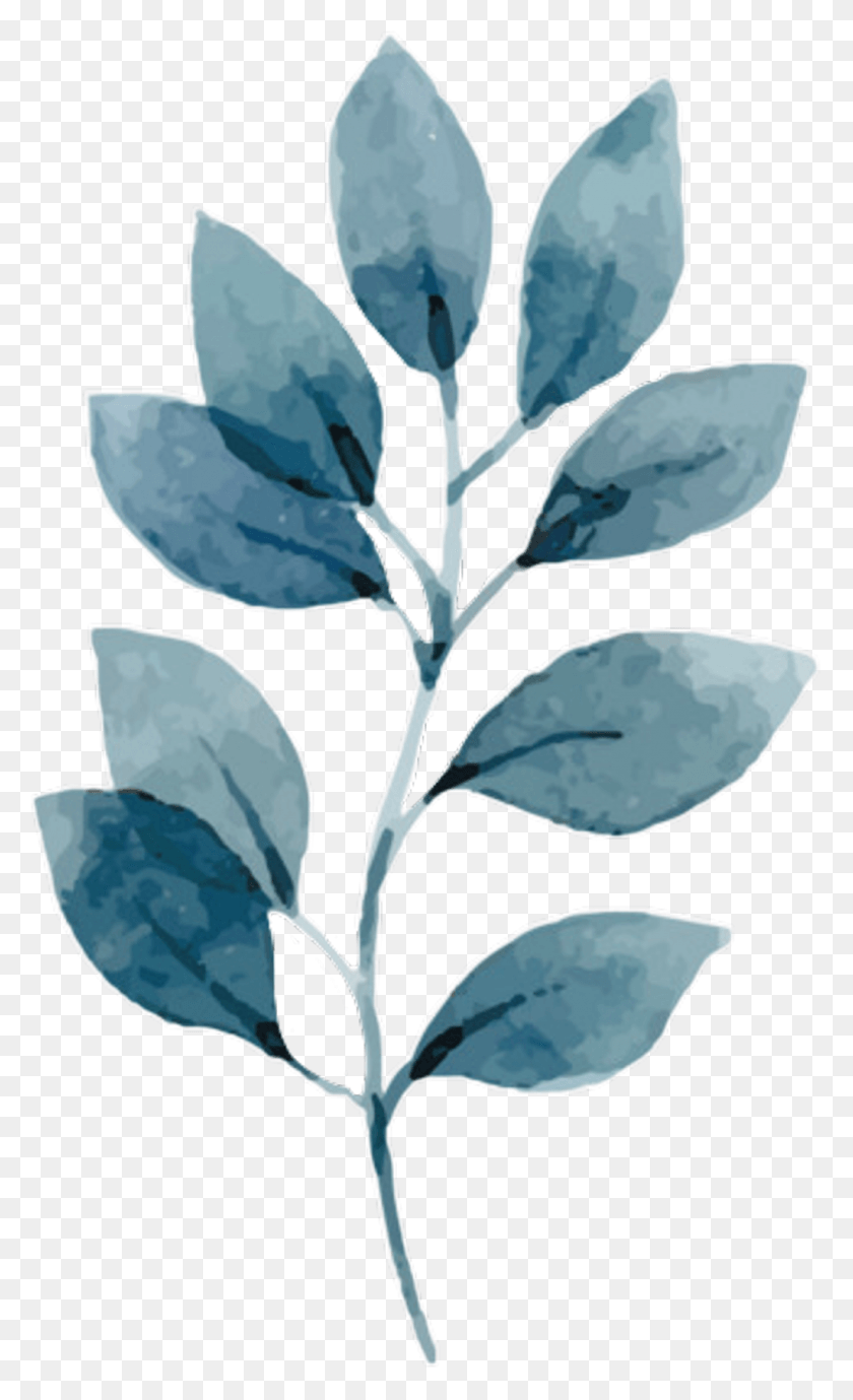 1024x1732 Watercolor Leaves Watercolour Painting Art Paint Tropical Leaves Watercolor, Plant, Flower, Blossom HD PNG Download