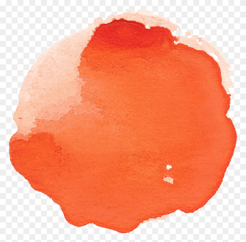 808x795 Watercolor Paint, Plant, Produce, Food HD PNG Download