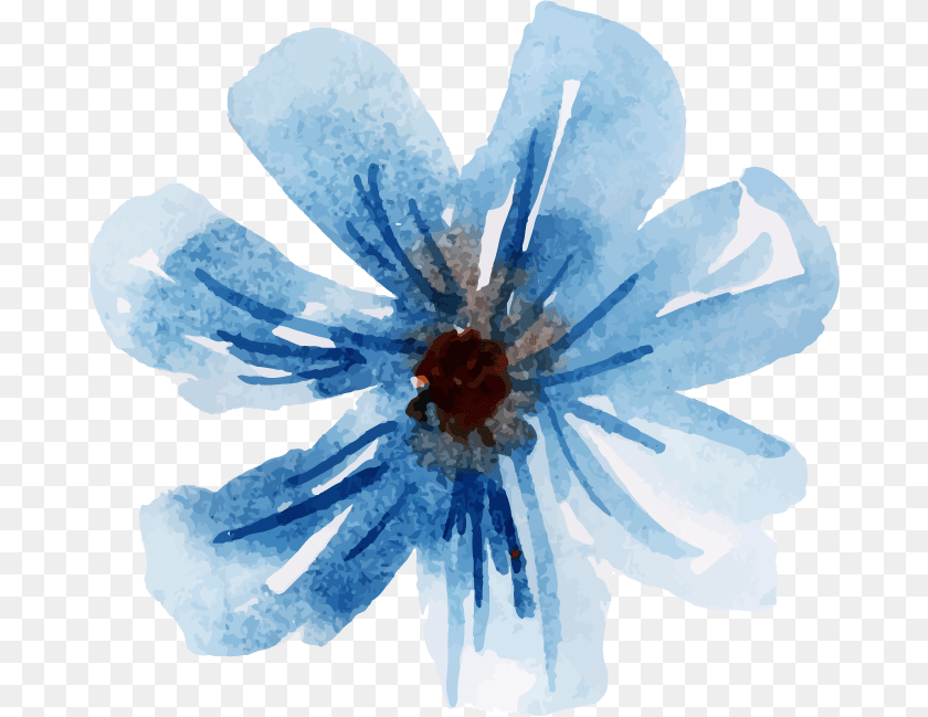 680x649 Watercolor Paint, Anemone, Plant, Daisy, Flower Sticker PNG