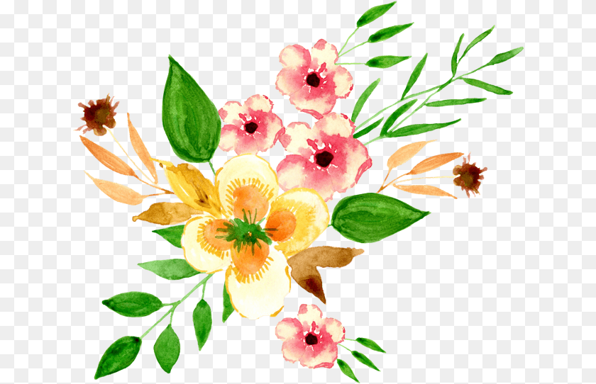 638x542 Watercolor Painting, Plant, Flower, Pattern, Graphics Transparent PNG