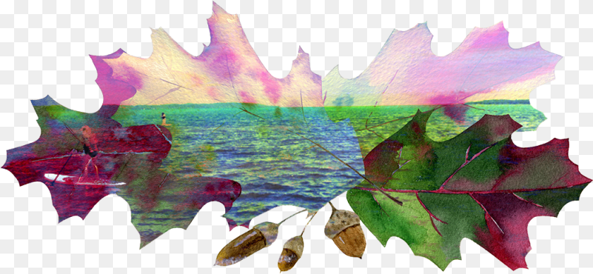 Watercolor Painting, Leaf, Plant, Tree, Maple Leaf Clipart PNG