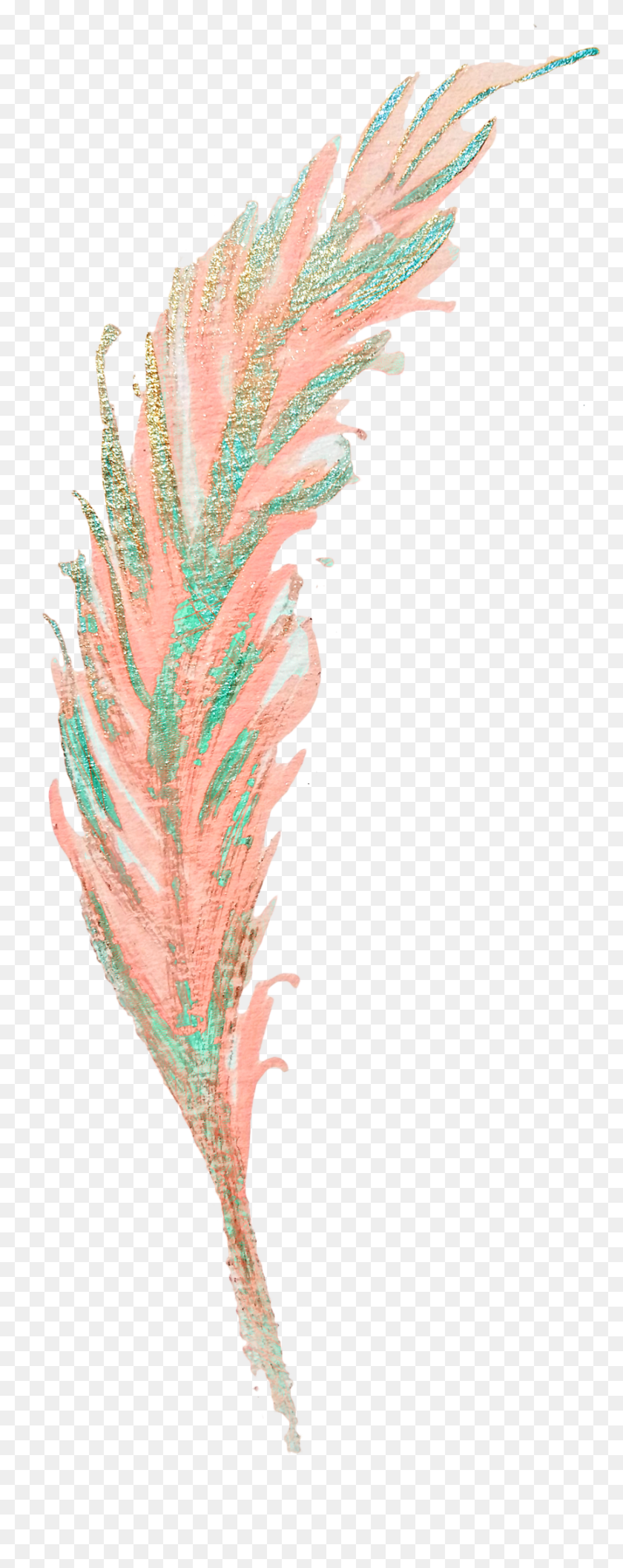 864x2274 Watercolor Painting Feather Clip Art Phragmites, Pattern, Bird, Animal HD PNG Download