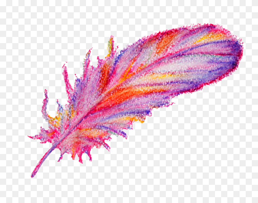 Watercolor Painting Feather Decorative, Anther, Flower, Plant, Pollen PNG