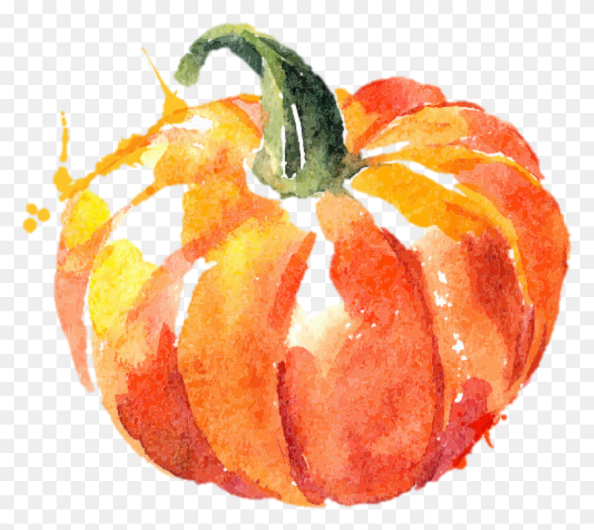 1031x911 Watercolor Pumpkin Vegetable Abstract, Plant, Food, Animal HD PNG Download