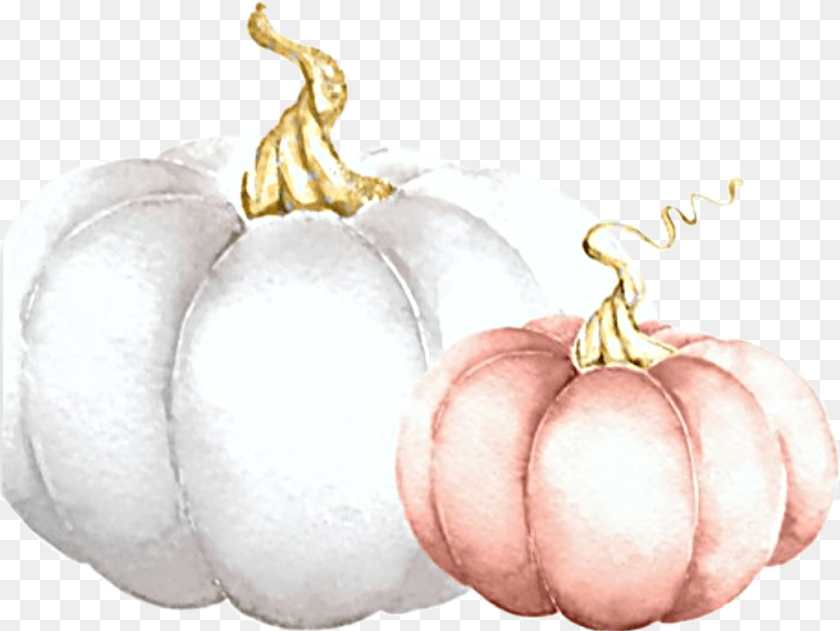 1024x769 Watercolor Pumpkins White Pink Fall Autumn Harvest Pumpkin, Vegetable, Food, Plant, Produce PNG