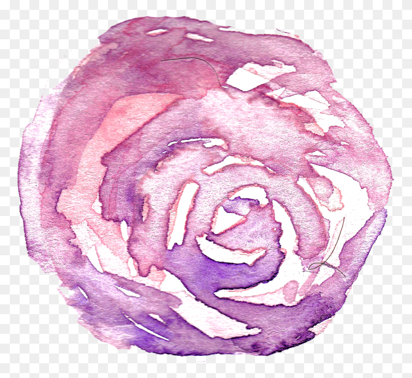 980x893 Watercolor Rose Flower Hand Painted Spring Fashion Sale, Plant, Vegetable, Food HD PNG Download