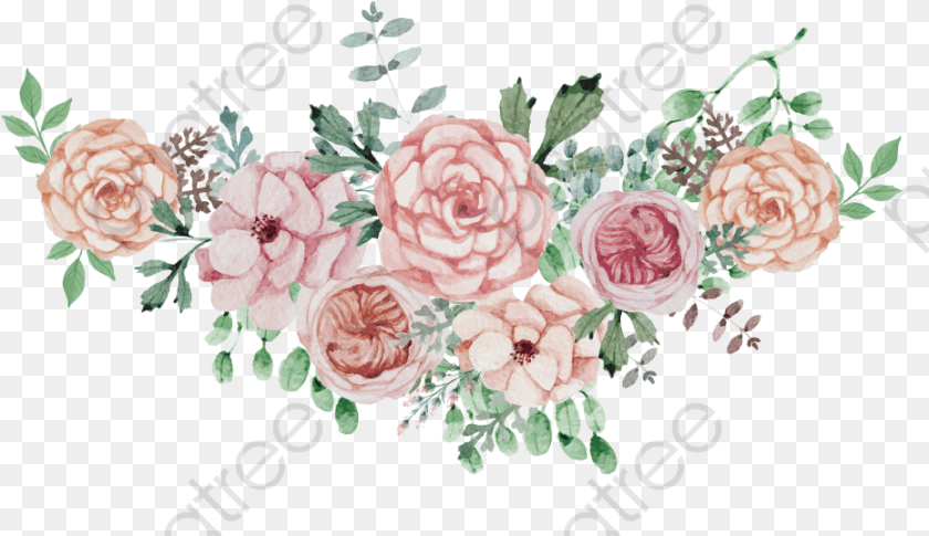 931x538 Watercolor Roses Watercolor Flowers Flower Clipart Wedding Watercolor Flowers, Rose, Art, Floral Design, Plant Transparent PNG