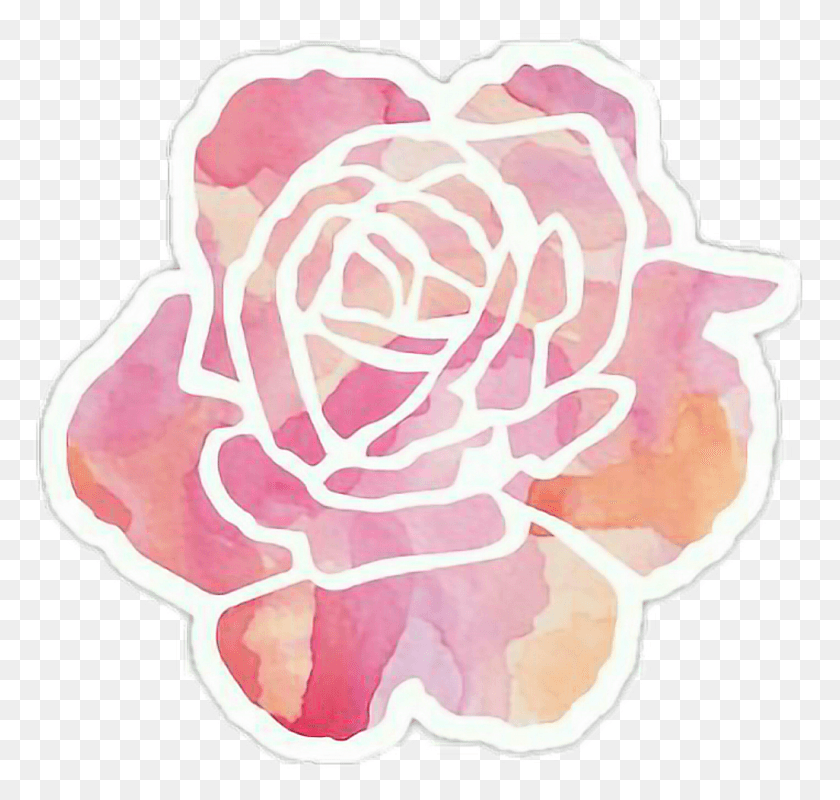 1025x973 Watercolor Sticker Watercolor Stickers, Plant, Flower, Blossom Descargar Hd Png