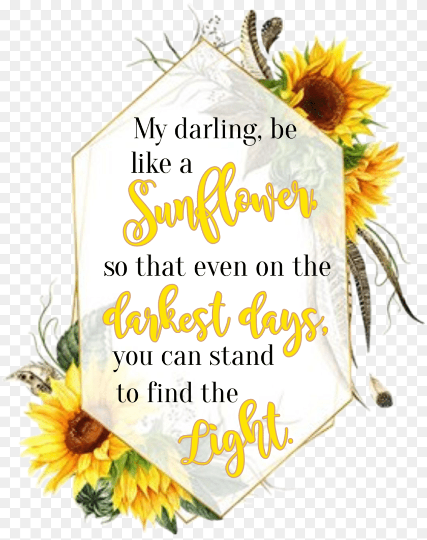 1098x1389 Watercolor Sunflowers Floral Frame Geometric Quote Word Sunflower, Envelope, Flower, Greeting Card, Mail Sticker PNG